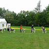 DCNH Clubschau 2011 180